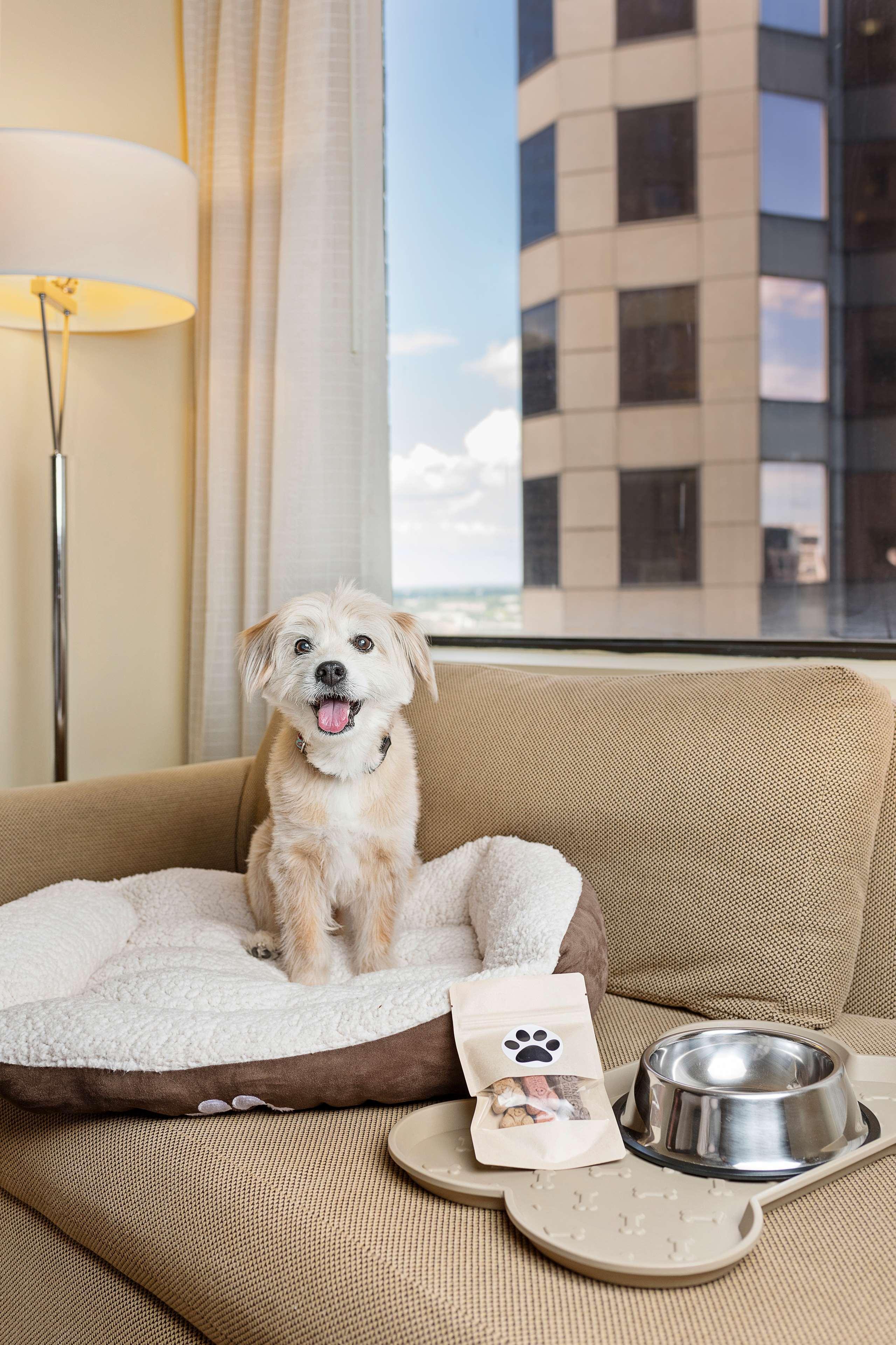 Hyatt Regency Downtown Hotel 4*